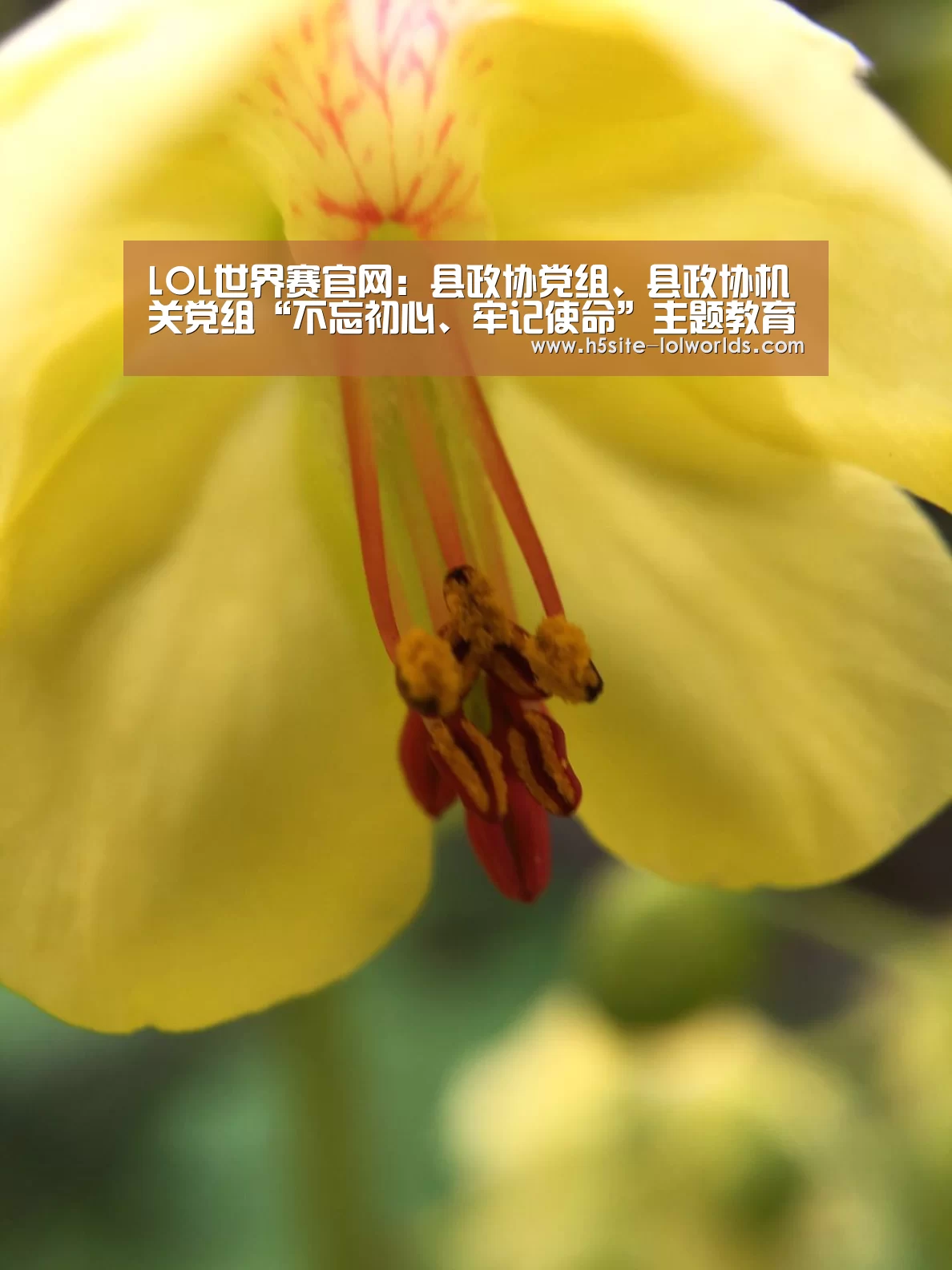 全球总决赛官网