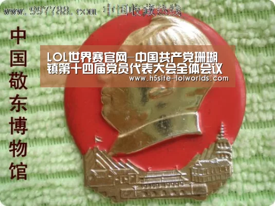 LOL世界赛官网-中国共产党珊瑚镇第十四届党员代表大会全体会议胜利召开(图3) LOL世界赛官网